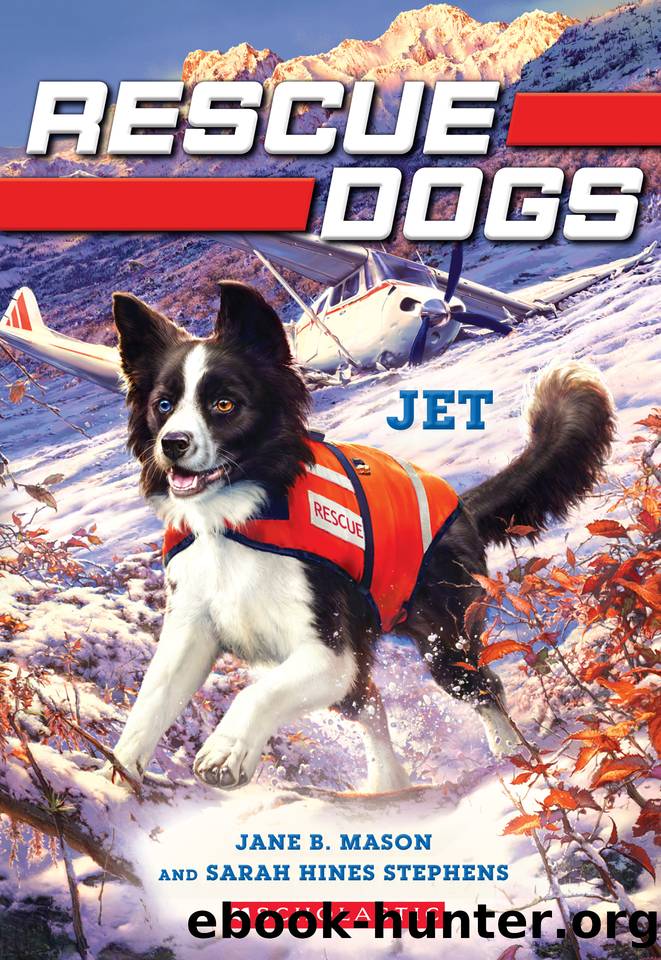 Jet by Jane B. Mason