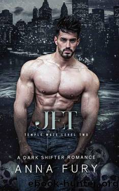 Jet: A Dark Shifter Romance: Temple Maze Level Two (Temple Maze Series Book 2) by Anna Fury