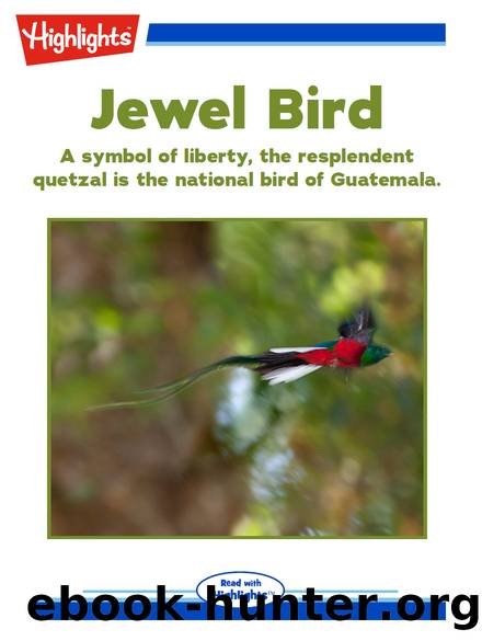 Jewel Bird by Robin A. Zimmerman