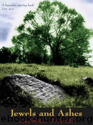 Jewels and Ashes by Arnold Zable