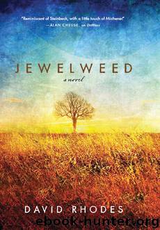 Jewelweed by David Rhodes