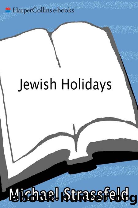 Jewish Holidays by Michael Strassfeld