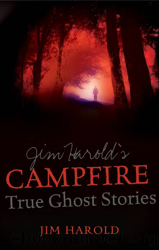 Jim Harold's Campfire by Jim Harold