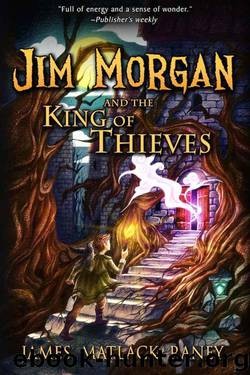 Jim Morgan and the King of Thieves by James Matlack Raney