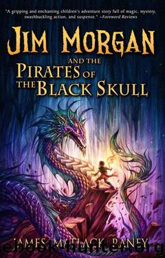 Jim Morgan and the Pirates of the Black Skull by James Raney