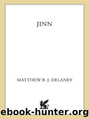 Jinn by Matthew B.J. Delaney