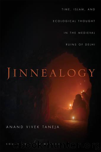 Jinnealogy by Taneja Anand Vivek