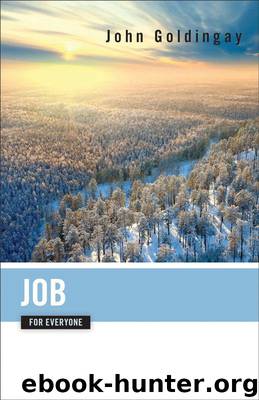 Job for Everyone by John Goldingay