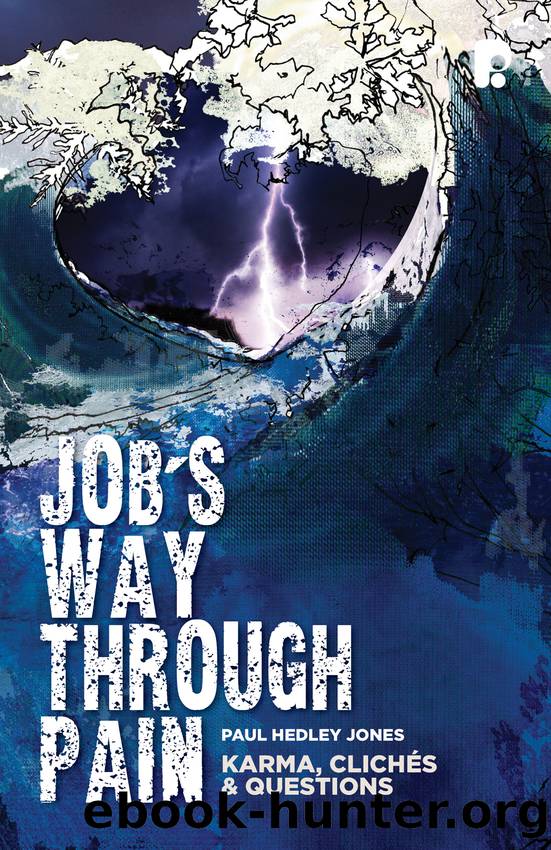 Job's Way Through Pain by Jones Paul Hedley;