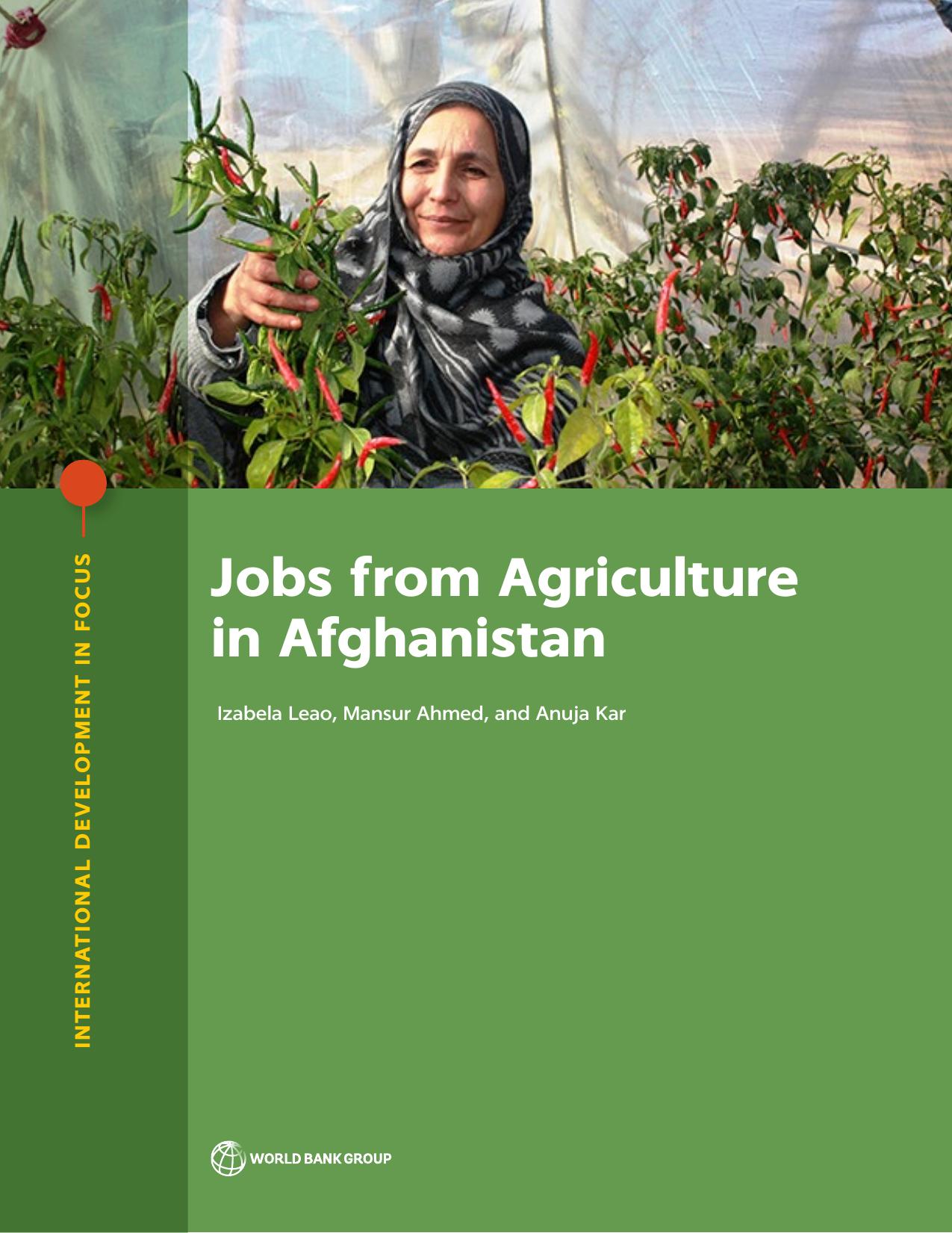 Jobs from Agriculture in Afghanistan (International Development in Focus) by Izabela Leao