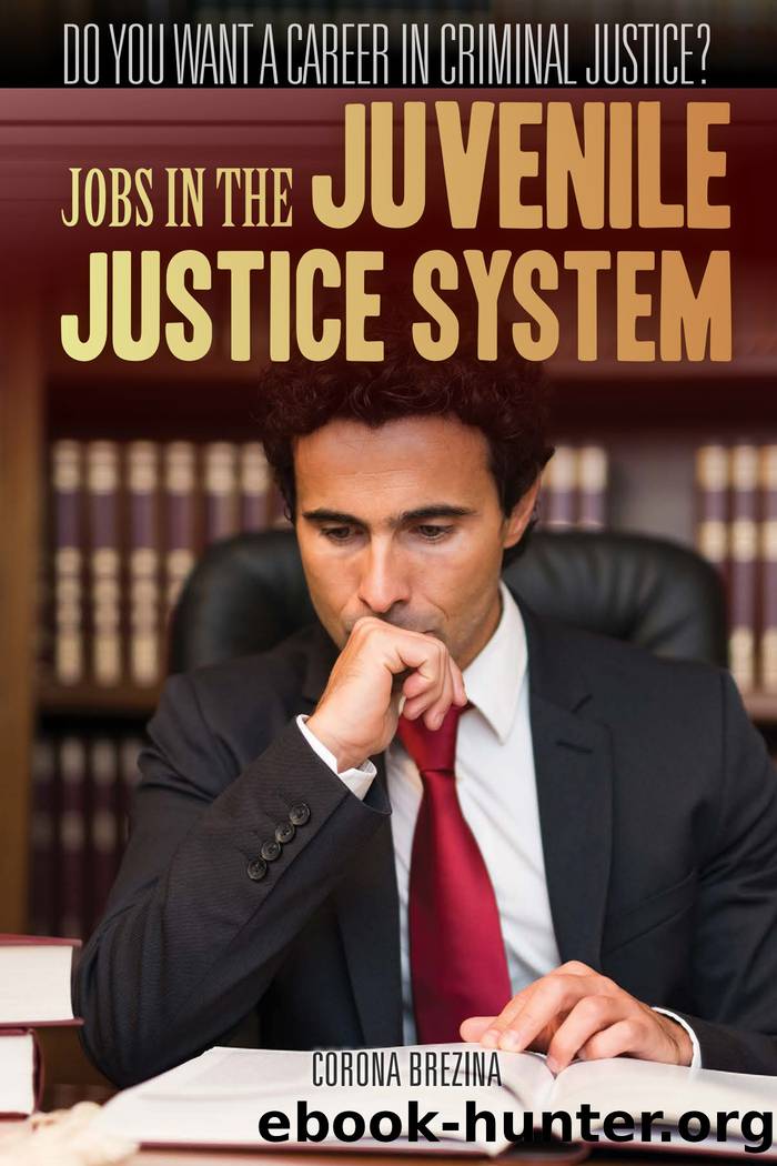 Jobs in the Juvenile Justice System by Brezina Corona;