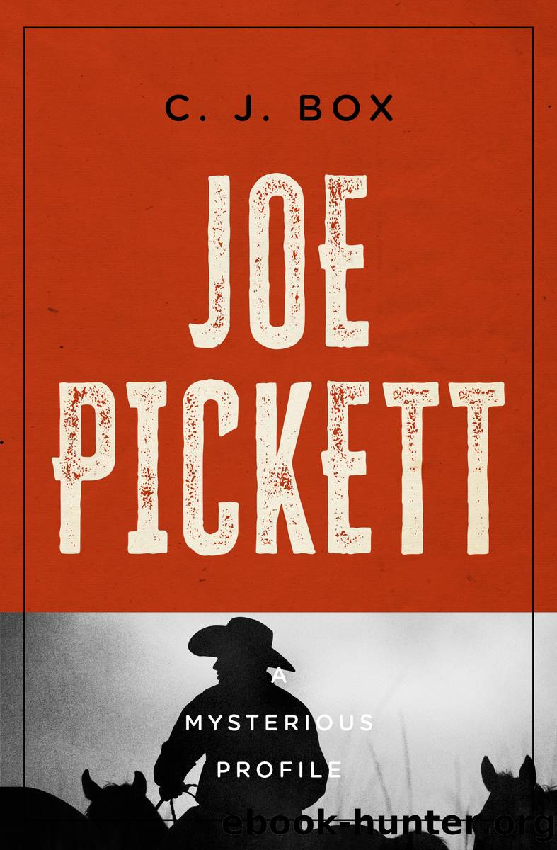 Joe Pickett by C. J. Box
