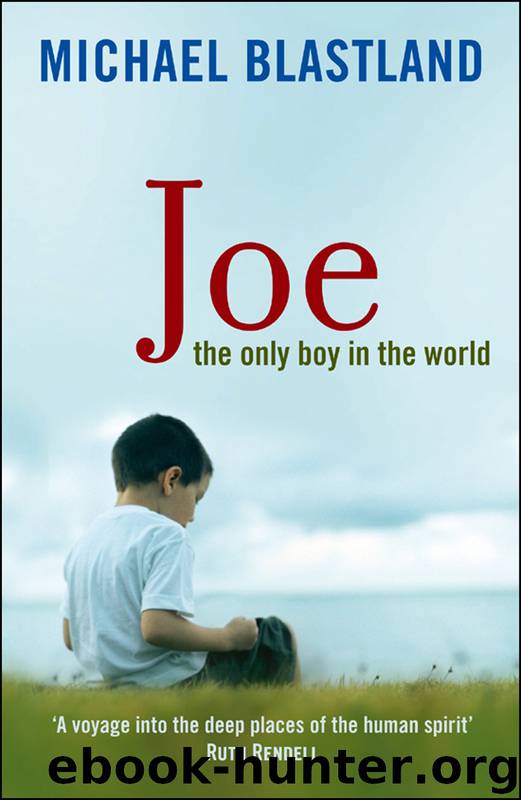 Joe by Michael Blastland