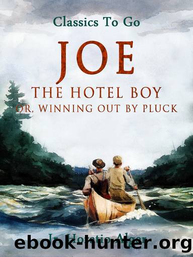 Joe the Hotel Boy by Jr. Horatio Alger