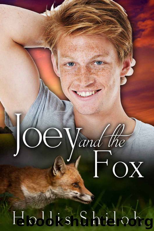 Joey and the Fox (shifters and partners Book 3) by Hollis Shiloh