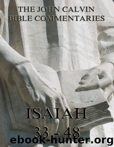 John Calvin's Commentaries On Isaiah 33- 48 by John Calvin