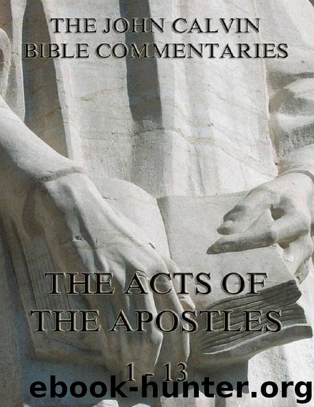 John Calvin's Commentaries On The Acts Vol. 1 by John Calvin