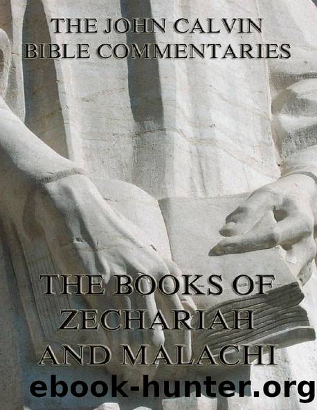 John Calvin's Commentaries On Zechariah And Malachi by John Calvin