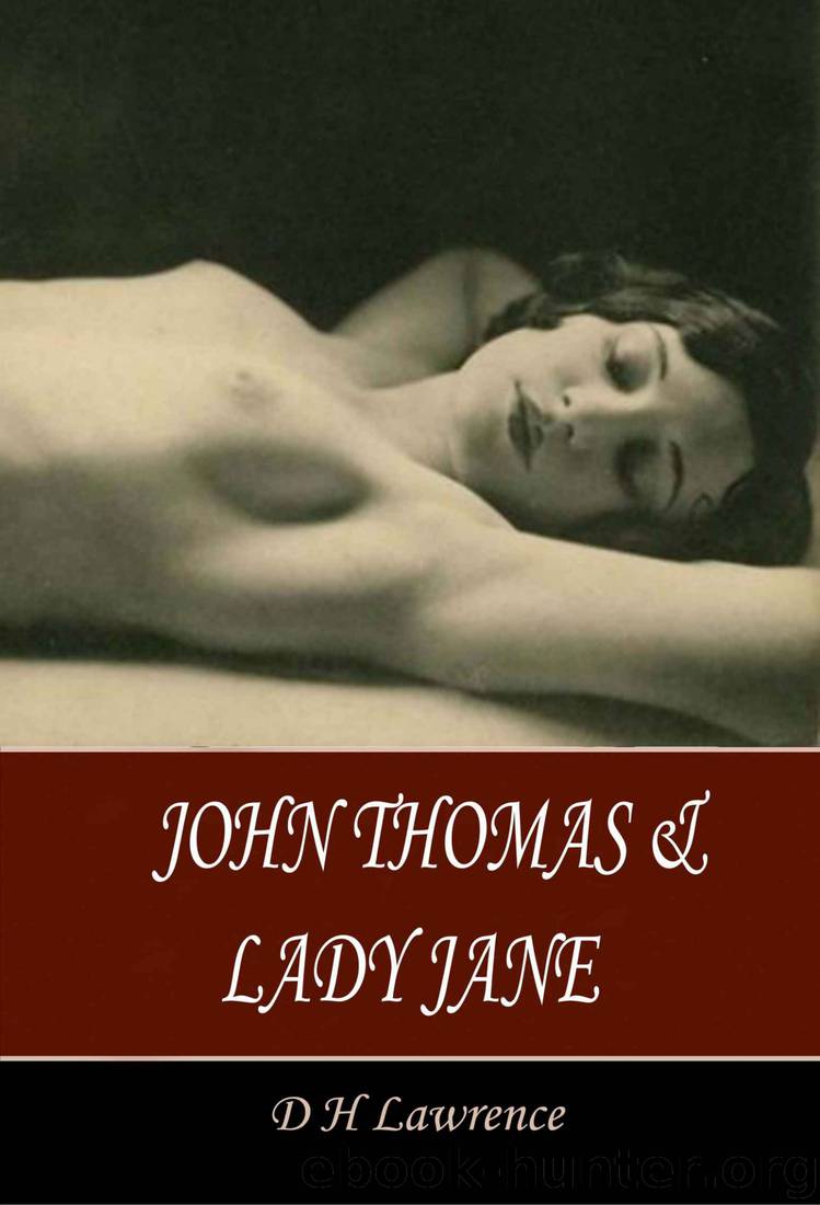 John Thomas and Lady Jane by D H Lawrence