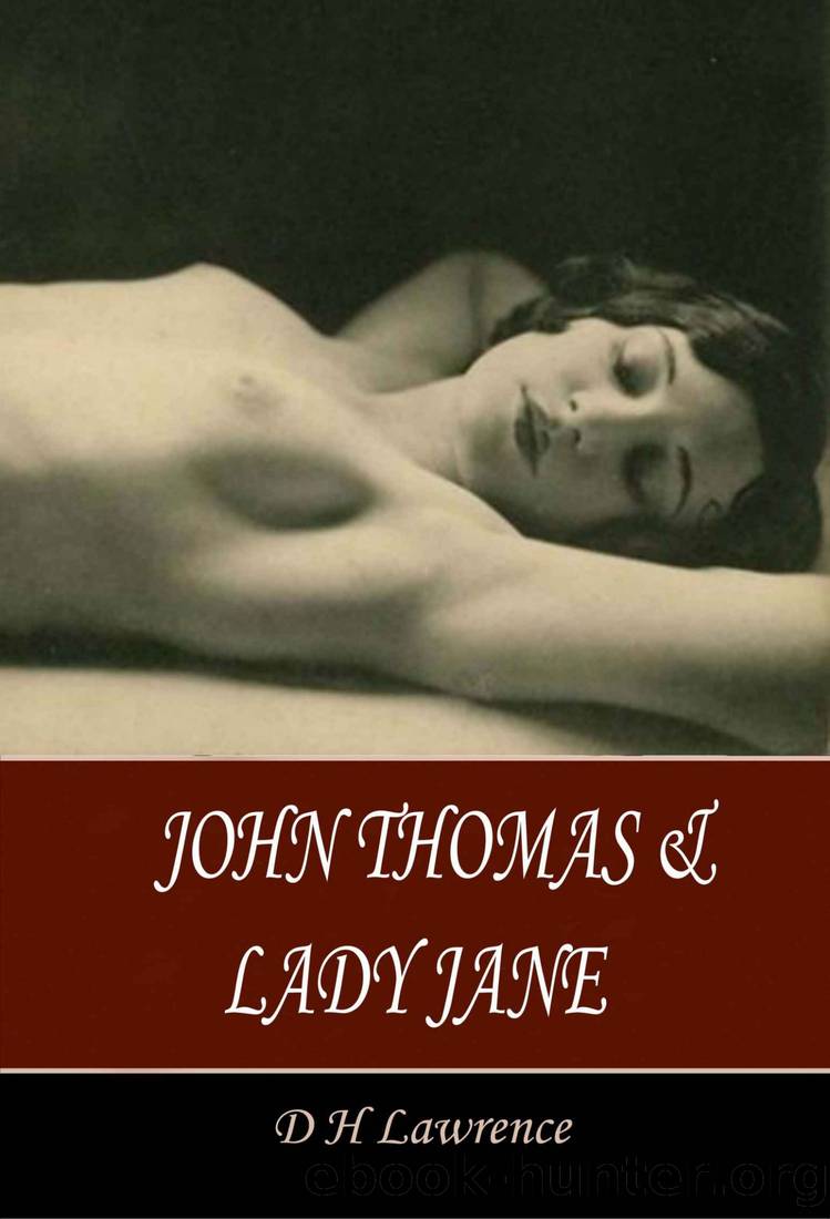 John Thomas and Lady Jane by D. H. Lawrence