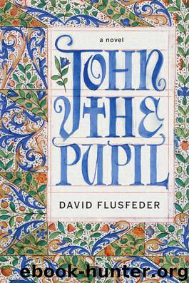 John the Pupil: A Novel by David Flusfeder