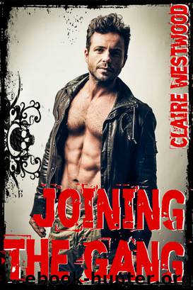 Joining the Gang: A MMF Motorcycle Club erotic tale by Claire Westwood