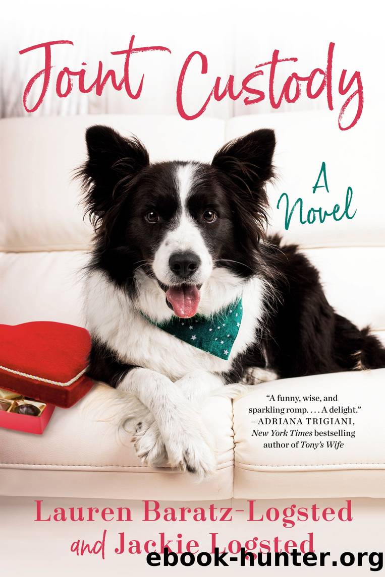 Joint Custody by Lauren Baratz-Logsted & Jackie Logsted