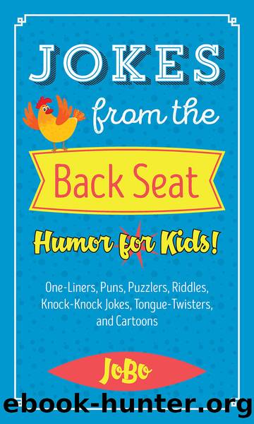 Jokes from the Back Seat by JoBo JoBo