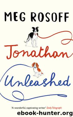 Jonathan Unleashed by Meg Rosoff