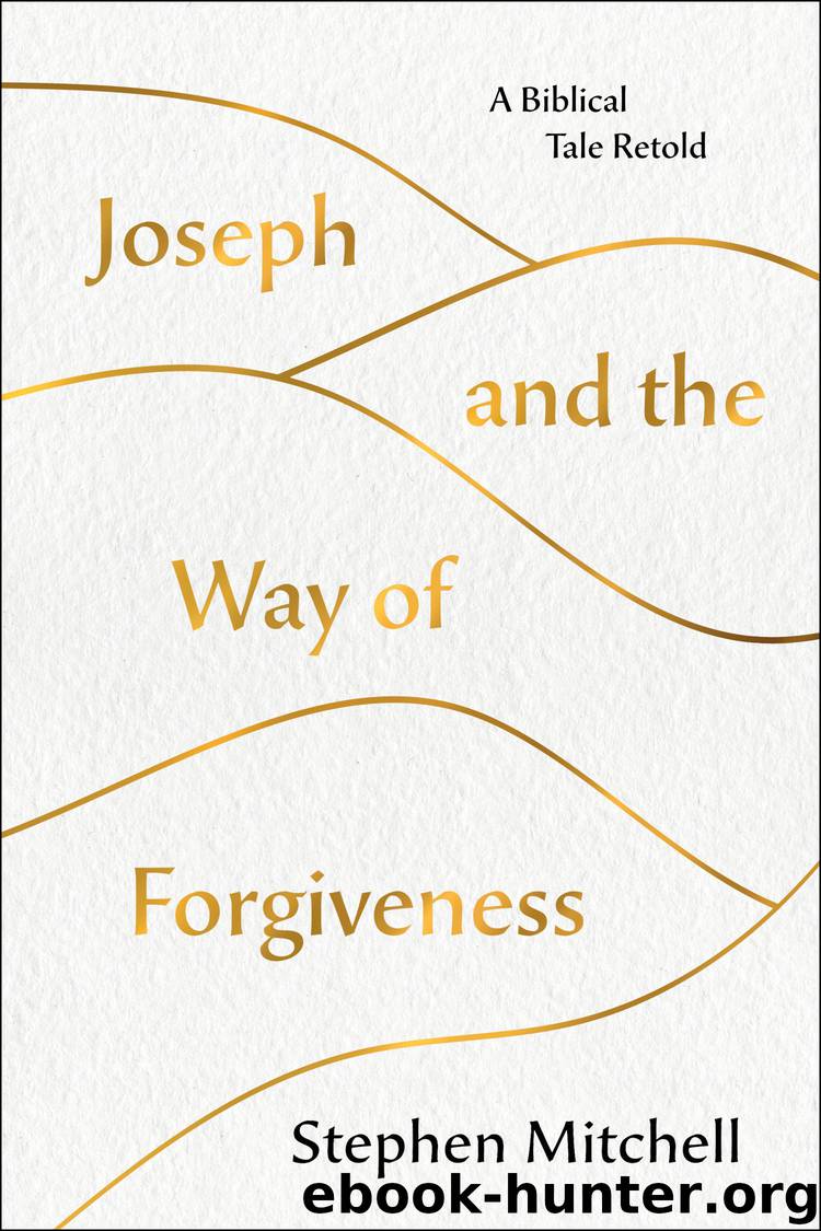 Joseph and the Way of Forgiveness by Stephen Mitchell