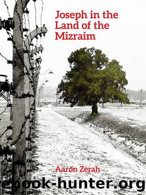 Joseph in the Land of the Mizraim by Aaron Zerah