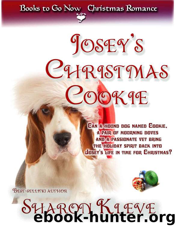 Josey's Christmas Cookie by Kleve Sharon