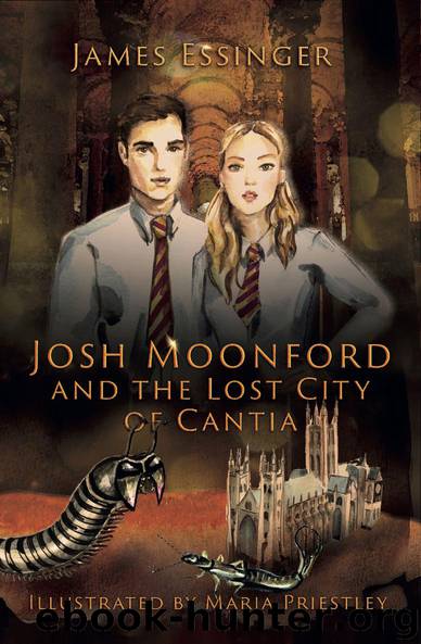 Josh Moonford and the Lost City of Cantia by James Essinger