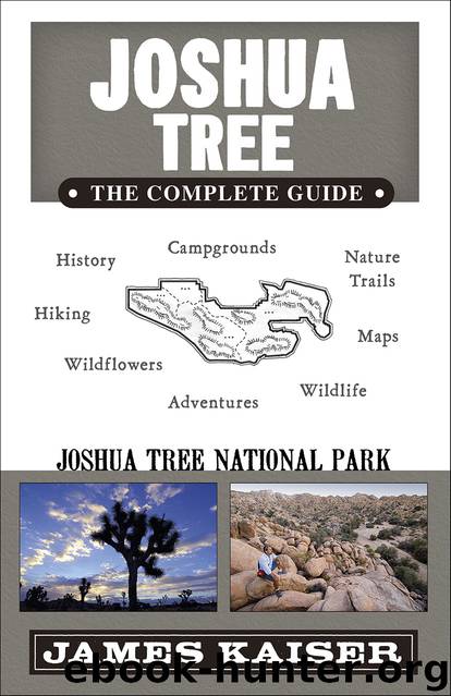 Joshua Tree by James Kaiser