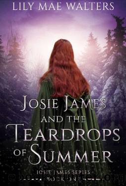 Josie James and The Teardrops of Summer : Book One by Lily Mae Walters
