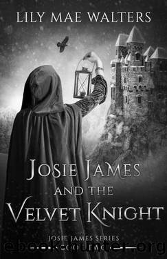 Josie James and The Velvet Knight by Lily Mae Walters