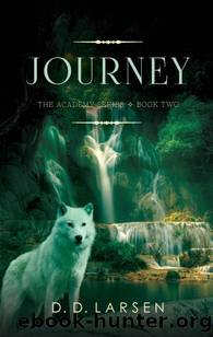 Journey (The Academy Series Book 2) by D. D. Larsen