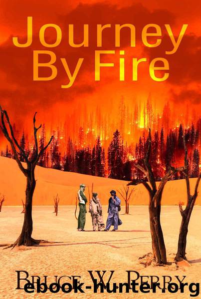 Journey By Fire by Bruce W. Perry
