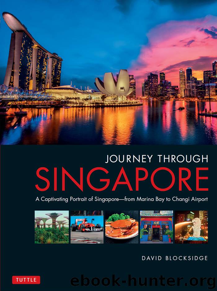Journey Through Singapore by David Blocksidge