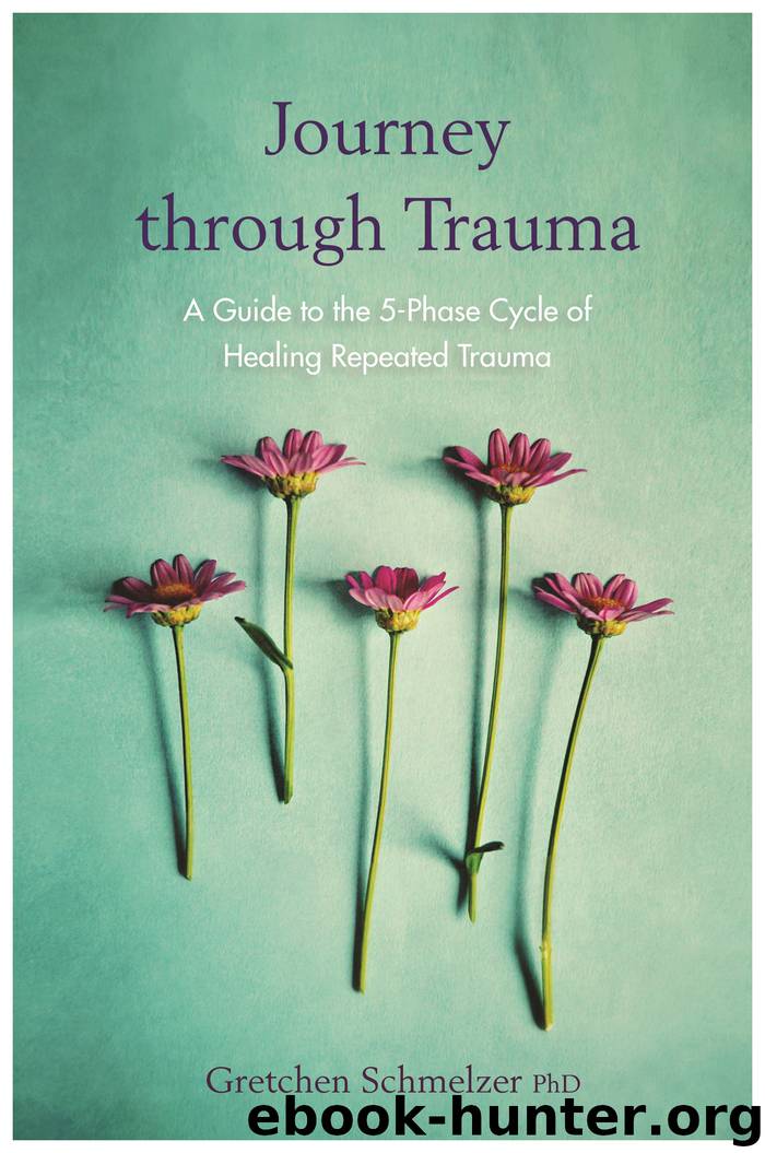 Journey Through Trauma by Gretchen Schmelzer