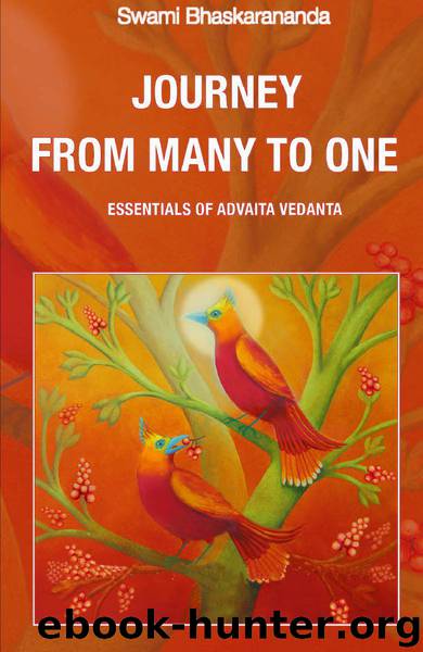 Journey from Many to One Essentials of Advaita Vedanta by Swami Bhaskarananda