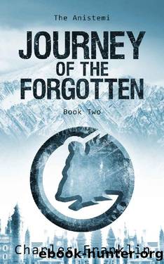 Journey of the Forgotten: A Novel by Charles Franklin