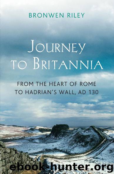 Journey to Britannia by Bronwen Riley