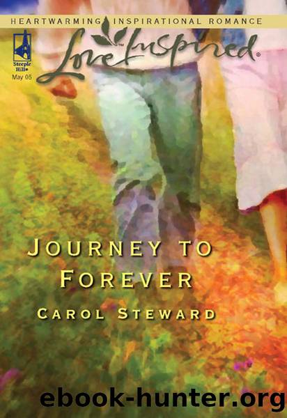 Journey to Forever by Carol Steward