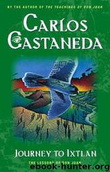 Journey to Ixtlan: the lessons of Don Juan by Carlos Castaneda