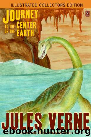 Journey to the Center of the Earth (Illustrated Collectors Edition) (Active Table of Contents) (New Translation) (53 Illustrations) (SF Classic) by Verne Jules