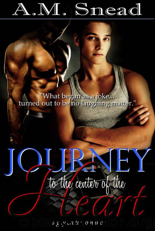 Journey to the Center of the Heart by A.M. Snead