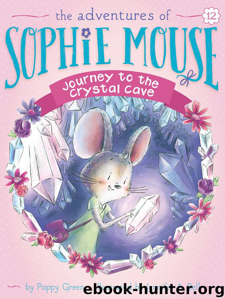 Journey to the Crystal Cave by Poppy Green & Jennifer A. Bell