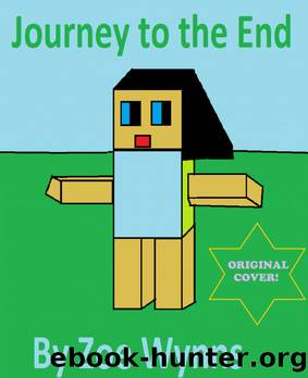 Journey to the End by Zoe Wynns