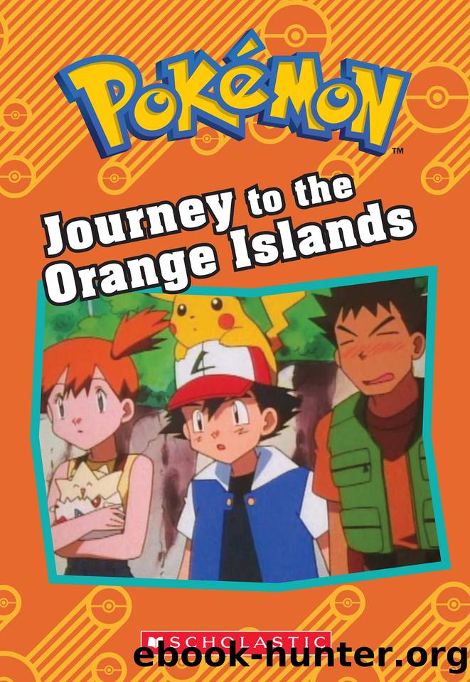 Journey to the Orange Islands by Tracey West